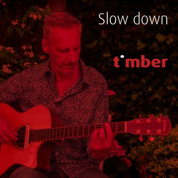 Timber - Slow Down