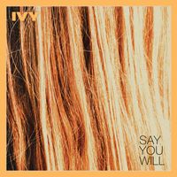 Ivy - Say You Will