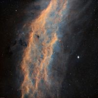 The vision - Ascencion