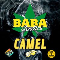 Camel - Baba Genetics