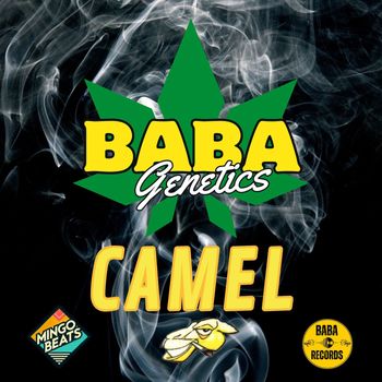 Camel - Baba Genetics