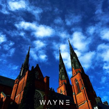 WAYNE - Teapots
