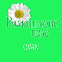 Ovan - Ромашкове поле