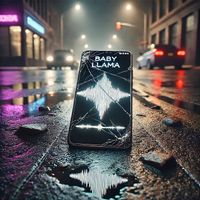 Countach - BABY LLAMA