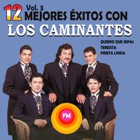 Los Caminantes - 12 Mejores Éxitos con Los Caminantes, Vol. 3