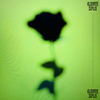 Hologramme - Duo Pulse