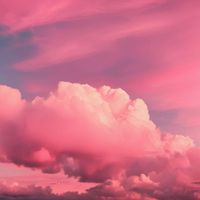 Stephen White - Magic Days