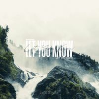 Brams - Let You Know