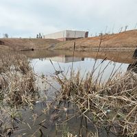 Scotty - Lean Sipper (Explicit)