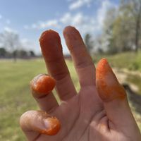 OBM - Lost Without You (Explicit)