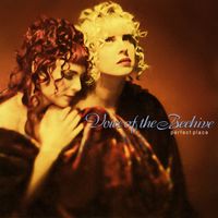 Voice Of The Beehive - Perfect Place