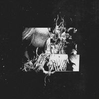 bloody/bath - UGLY