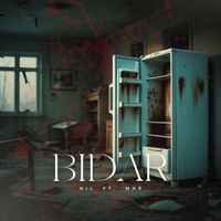 NIL - Bidar