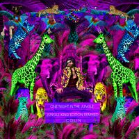 Colin - One Night In The Jungle (Jungle King Edition Remixed)