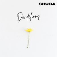 Shuba - Dandelions