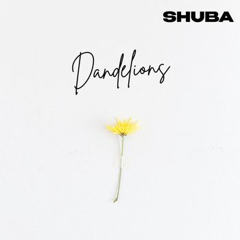 Shuba - Dandelions