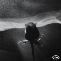 The Manatees - Headspace (Explicit)