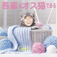 Gero - 吾輩はオス猫である