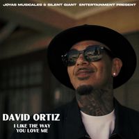 David Ortiz - I Like The Way You Love Me