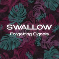 Swallow - Forgetting Signals