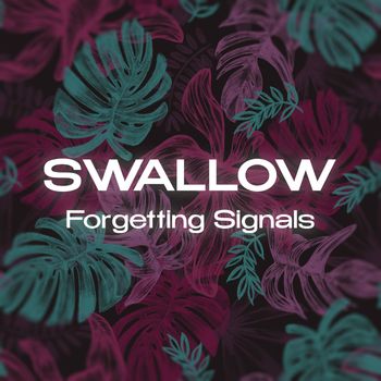 Swallow - Forgetting Signals