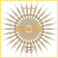 Dudu Capoeira - Beija Flor