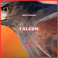 Dudu Capoeira - Falcon