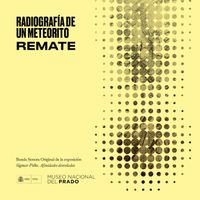 Remate - Radiografía de un Meteorito