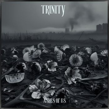 Trinity - Ashes of Us