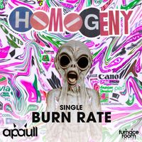 apaull - Burn Rate