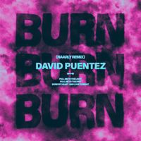 David Puentez - Burn (Naarly Remix)
