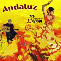 Chiquetete - Andaluz