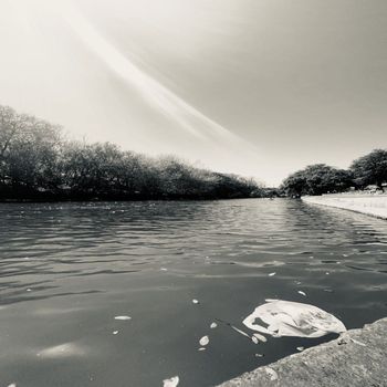 elliott - reflection. (Explicit)