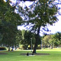 Es - Tree