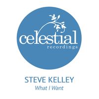 Steve Kelley - What I Want