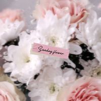 uc - Sunday flower