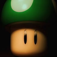 Lucas The Flow - Green Mushroom (Explicit)