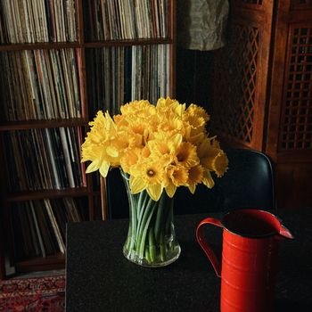 Wesley Taylor - Daffodils
