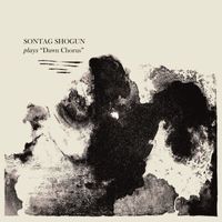 Sontag Shogun - Dawn Chorus (Explicit)