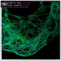 Cam's Pal - Any Garys (Radio Edit)