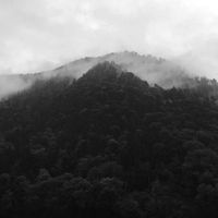 iamyank - Environmental Music for Reading