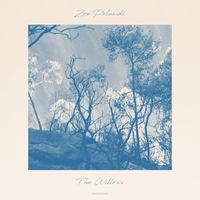 Zoe Polanski - The Willows