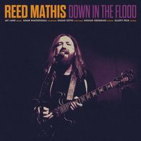 Reed Mathis - Down In The Flood