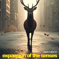 Awiy Disco - Expansion of the Senses