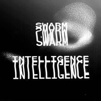 Swarm Intelligence - Swarm Intelligence 003
