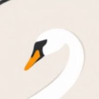 Swan - Skipping on the Moon