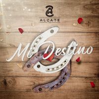 Alzate - Mi Destino