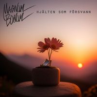 Magnum Bonum - HJÄLTEN SOM FÖRSVANN