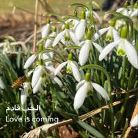 Chris Pellnat - Love Is Coming الحب قادم (feat. Catalus)