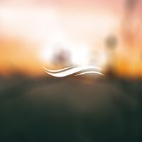 Olej - Enlightenment